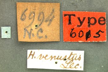 Media type: image;   Entomology 6015 Aspect: labels